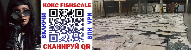 как найти закладки  Зуевка  Cocaine FishScale 