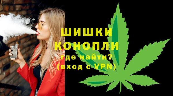 PSILOCYBIN Дмитриев