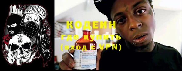 PSILOCYBIN Дмитриев
