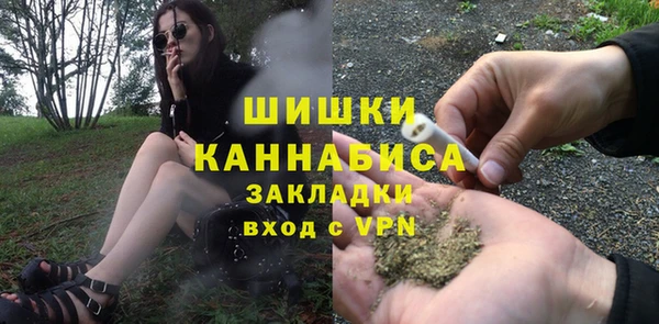 PSILOCYBIN Дмитриев
