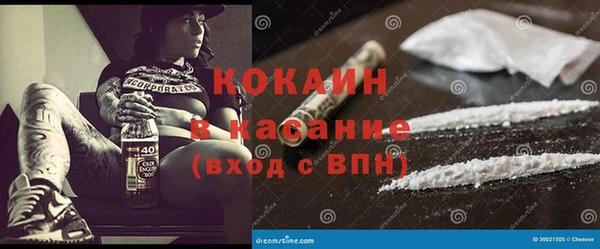 PSILOCYBIN Дмитриев