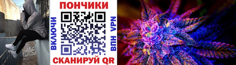 Каннабис гибрид  Зуевка 